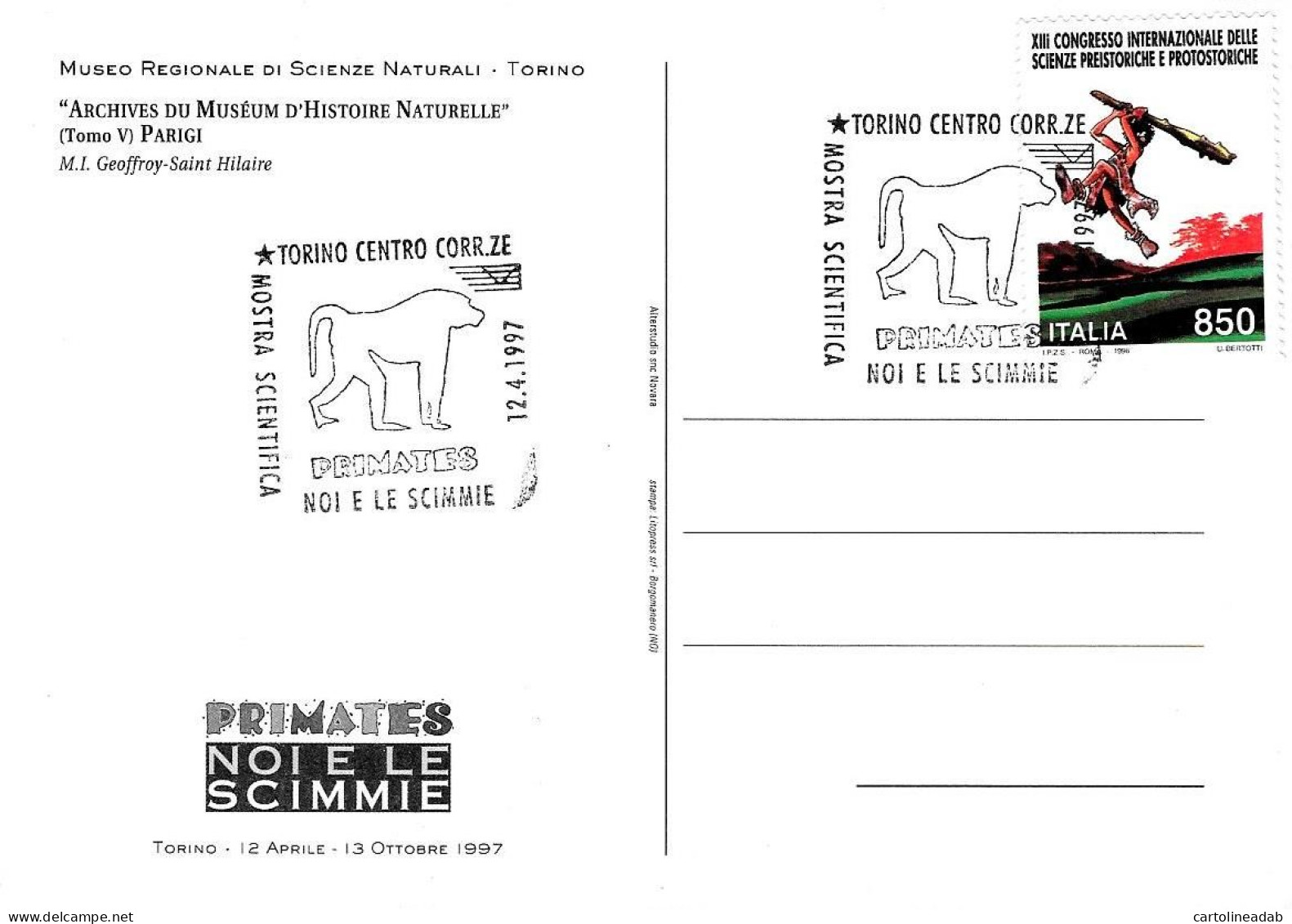 [MD8370] CPM - SERIE DI 8 CARTOLINE CON ANNULLO - PRIMATES NOI E LE SCIMMIE - TORINO - PERFETTE - Non Viaggiate