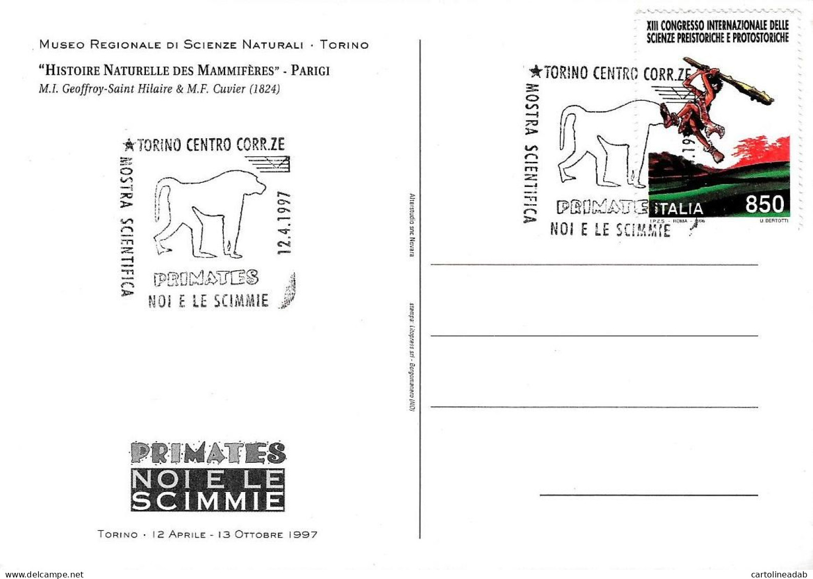 [MD8370] CPM - SERIE DI 8 CARTOLINE CON ANNULLO - PRIMATES NOI E LE SCIMMIE - TORINO - PERFETTE - Non Viaggiate