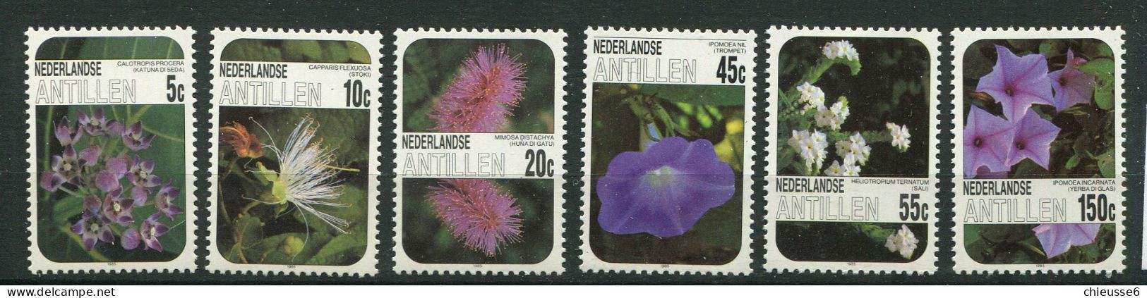Antilles Néerlandaises ** N° 756 à 761 - Fleurs - Antillen