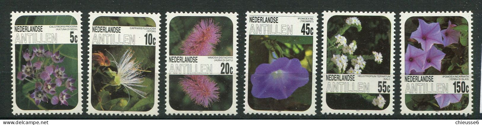 Antilles Néerlandaises ** N° 756 à 761 - Fleurs - Antilles