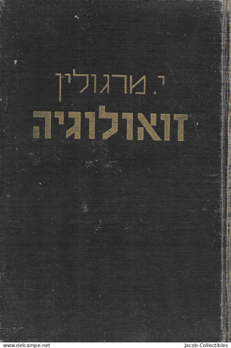 Zoology Animals - Hebrew זואולוגיה מרגולין 1958 - Scolastici