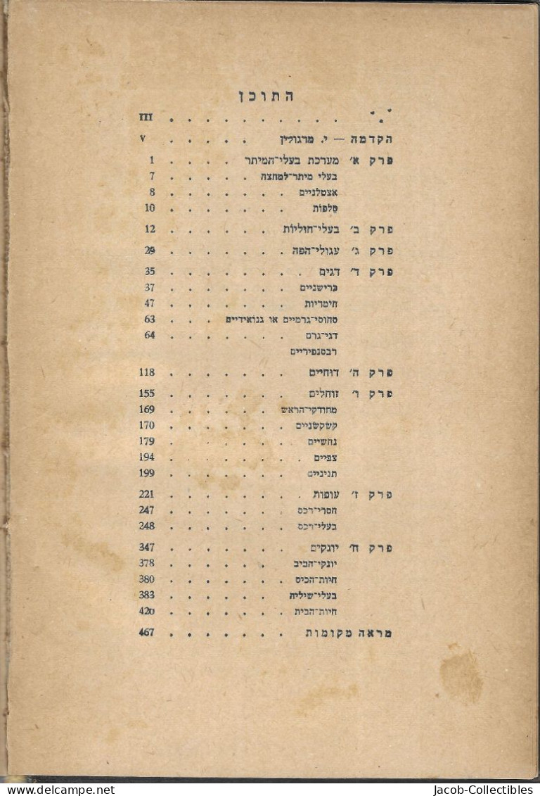 Zoology Animals - Hebrew זואולוגיה מרגולין 1958 - Escolares
