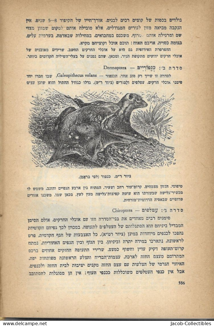 Zoology Animals - Hebrew זואולוגיה מרגולין 1958