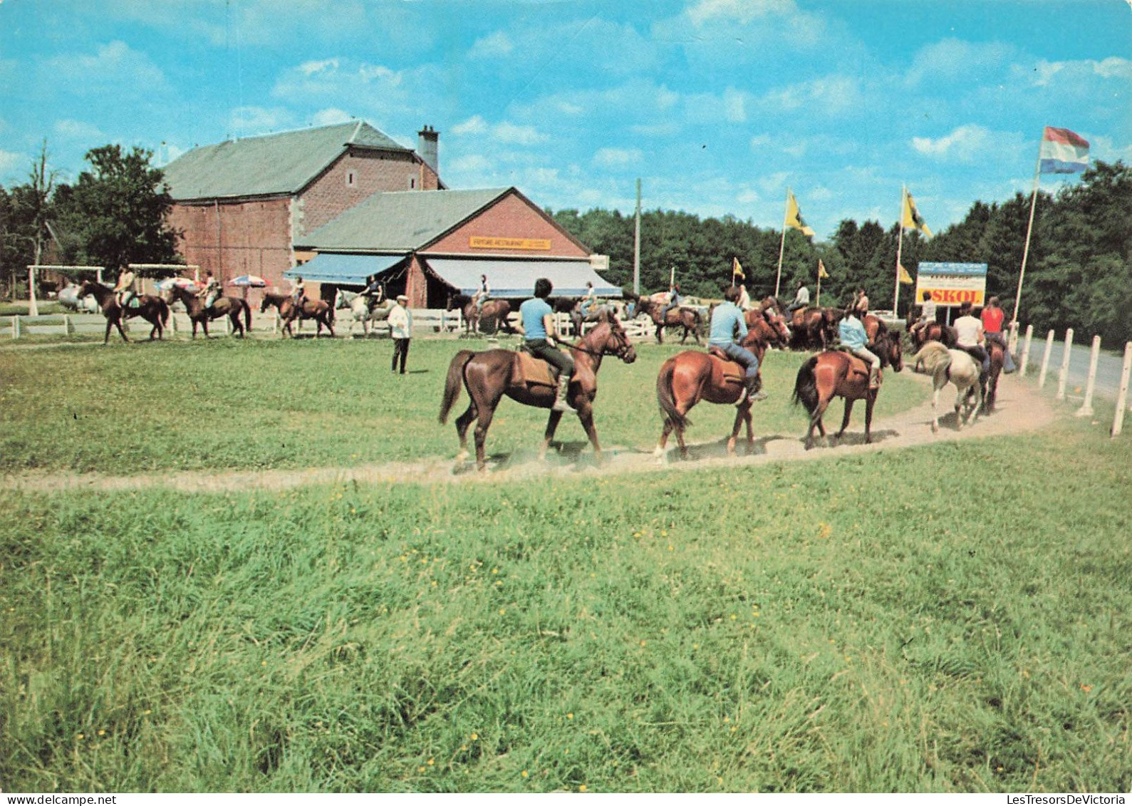 BELGIQUE - Durbuy -  Barvaux Sur Ourthe  - Golf Miniazure Et Le Beaujolais - Equitation - Cartes Postales - Durbuy