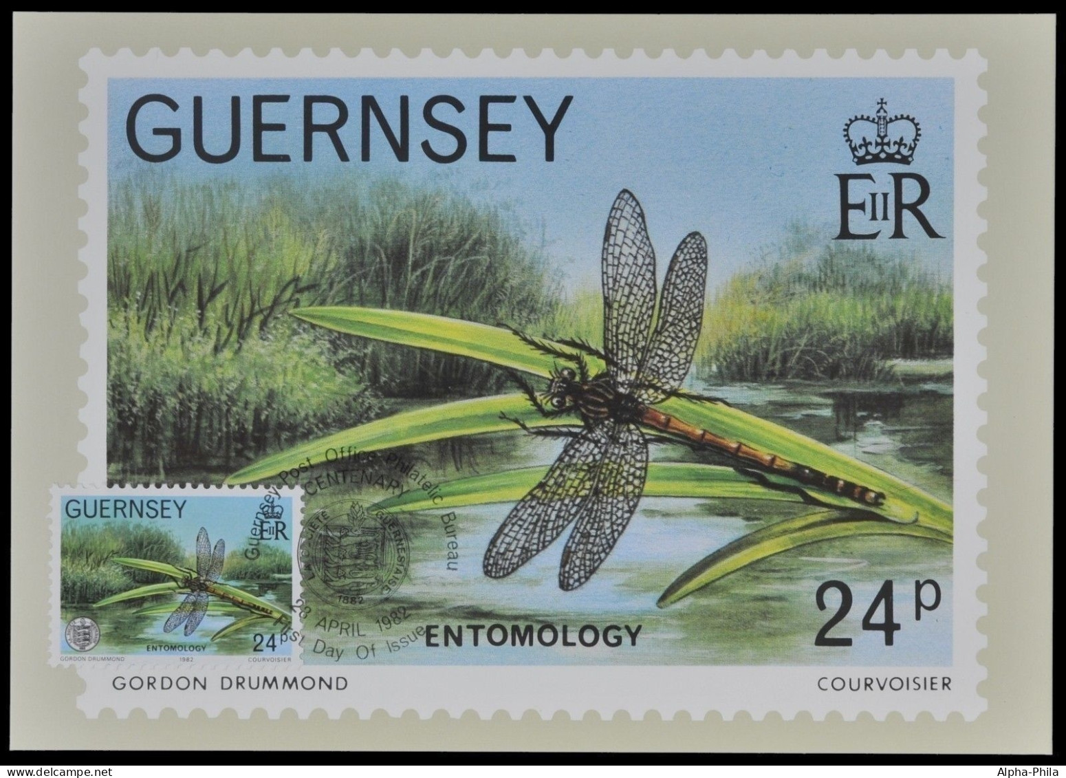 Guernsey 1982 - Mi-Nr. 248 - Maxikarte - Libelle / Dragonfly - Guernesey