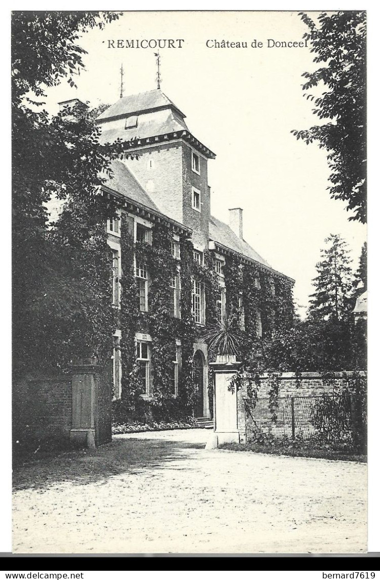 Belgique  -  Remicourt -  Chateau De Donceel -baron Eug De Chestret De Haneffe Et  Baronne Nee De Pierpont - Remicourt