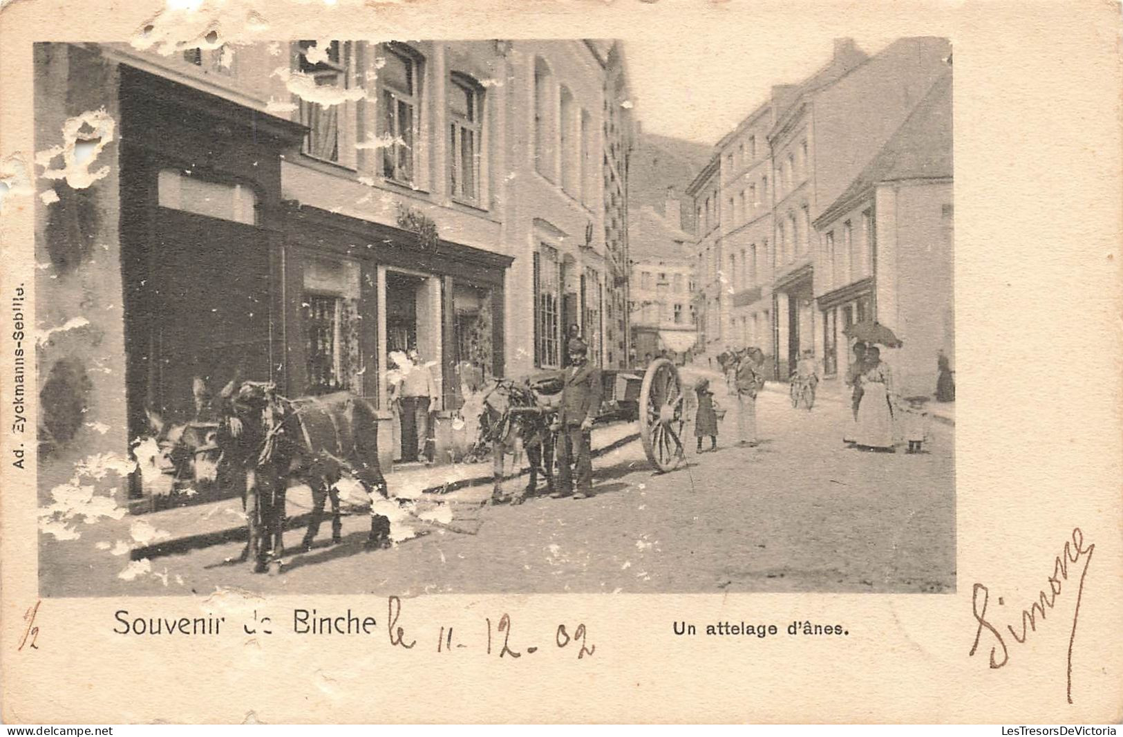 BELGIQUE - Souvenir De Binche - Un Attelage D'ânes - Carte Postale Ancienne - Binche