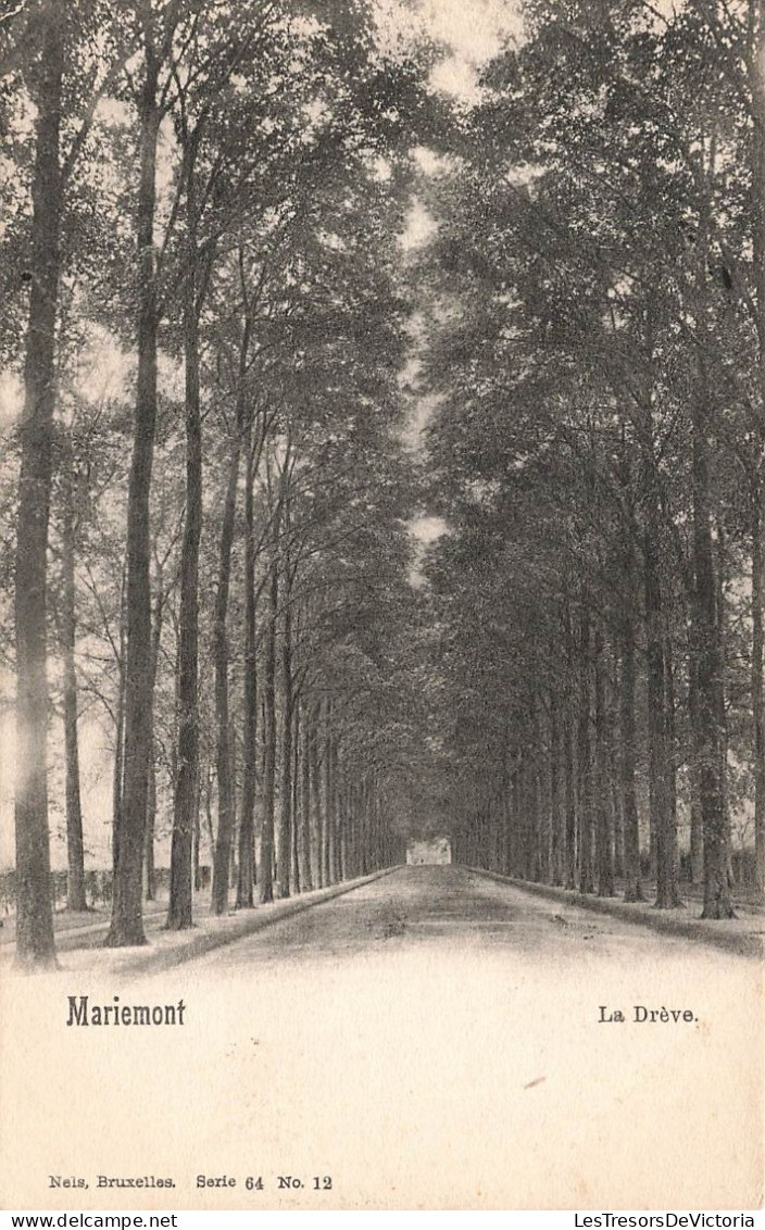 BELGIQUE - Mariemont - La Drève - Carte Postale Ancienne - La Louviere