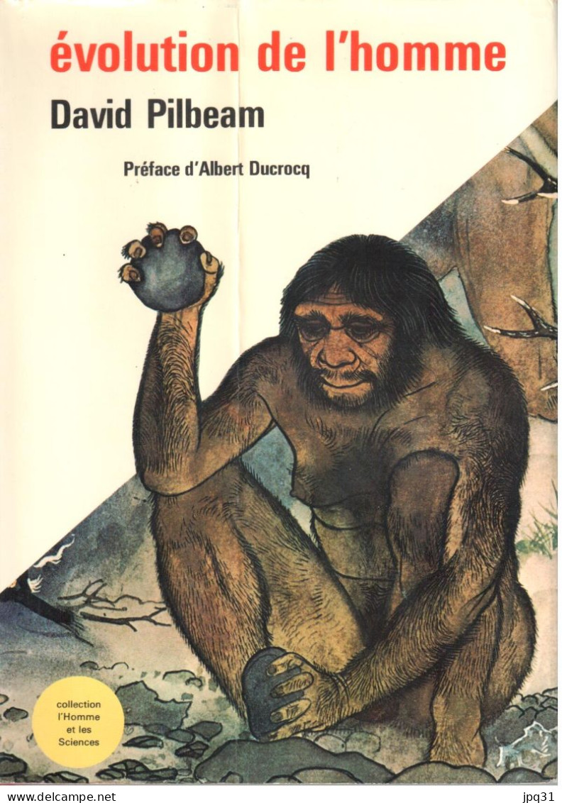 David Pilbeam - Évolution De L'homme - Express / L'homme Et Les Sciences - 1971 - Sciences