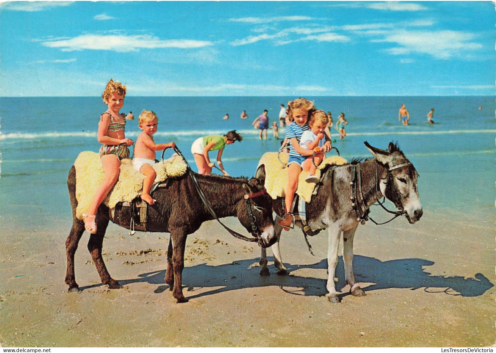 BELGIQUE - Nieuwpoort - Plage - Des Enfants Sur Des ânes - Cartes Postales - Nieuwpoort