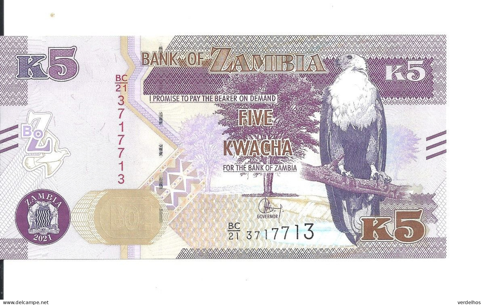 ZAMBIE 5 KWACHA 2021 UNC P 57 D - Zambia