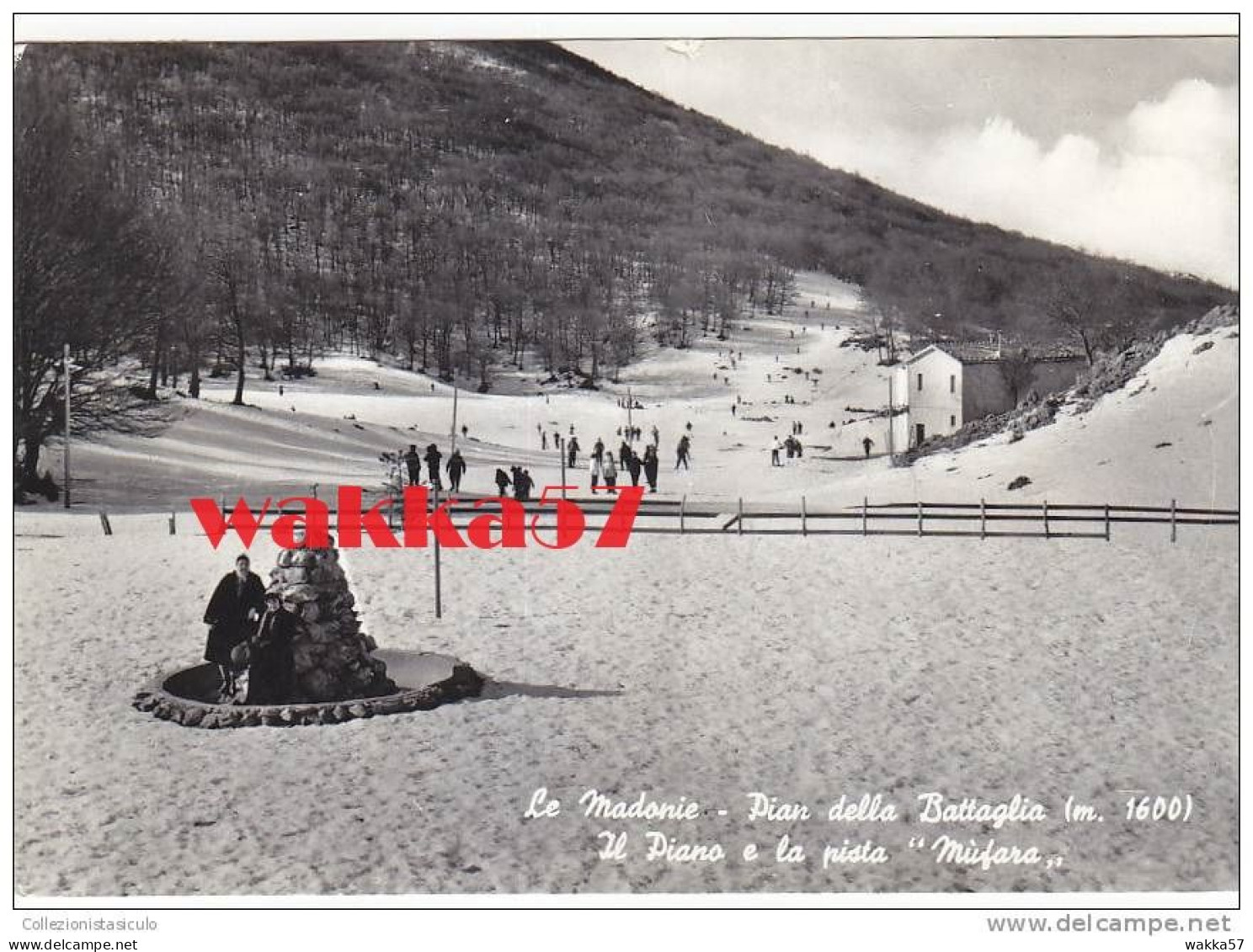 D1188- Le Madonie Pian Della Battaglia Il Piano E La Pista Mufara - F.g. Viaggiata - Ragusa