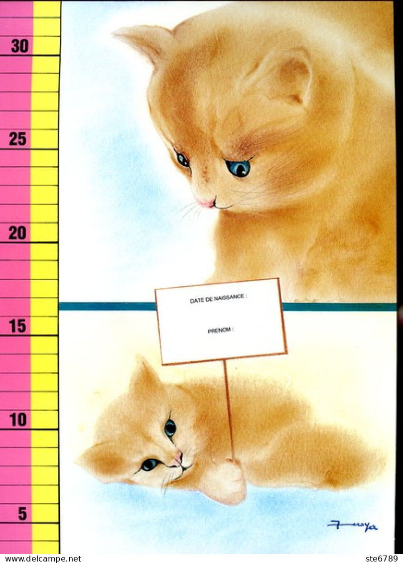 Grande Toise Murale Depliante Enfant Illustrée Chat Chats  130 X 21,5 Cm TBE - Other & Unclassified