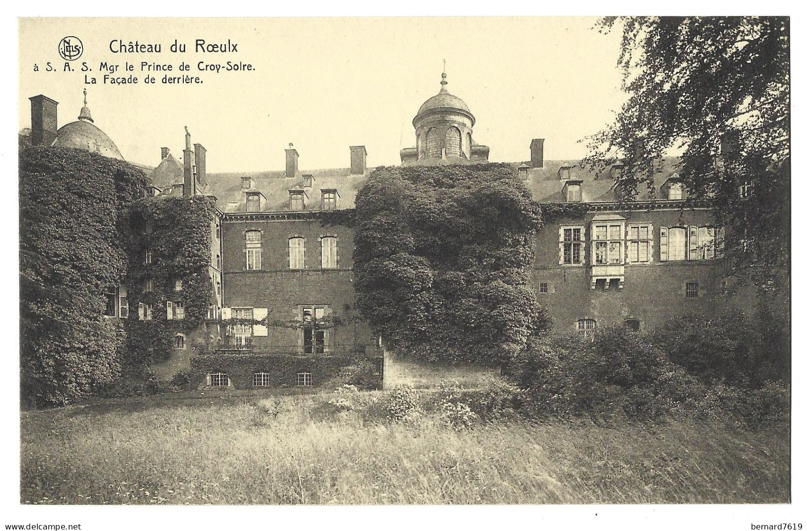 Belgique  -   Le  Roeulx  -   Chateau  De Roeulx  Mgr  Le Prince  De Croy - Facade De Derriere - Le Roeulx