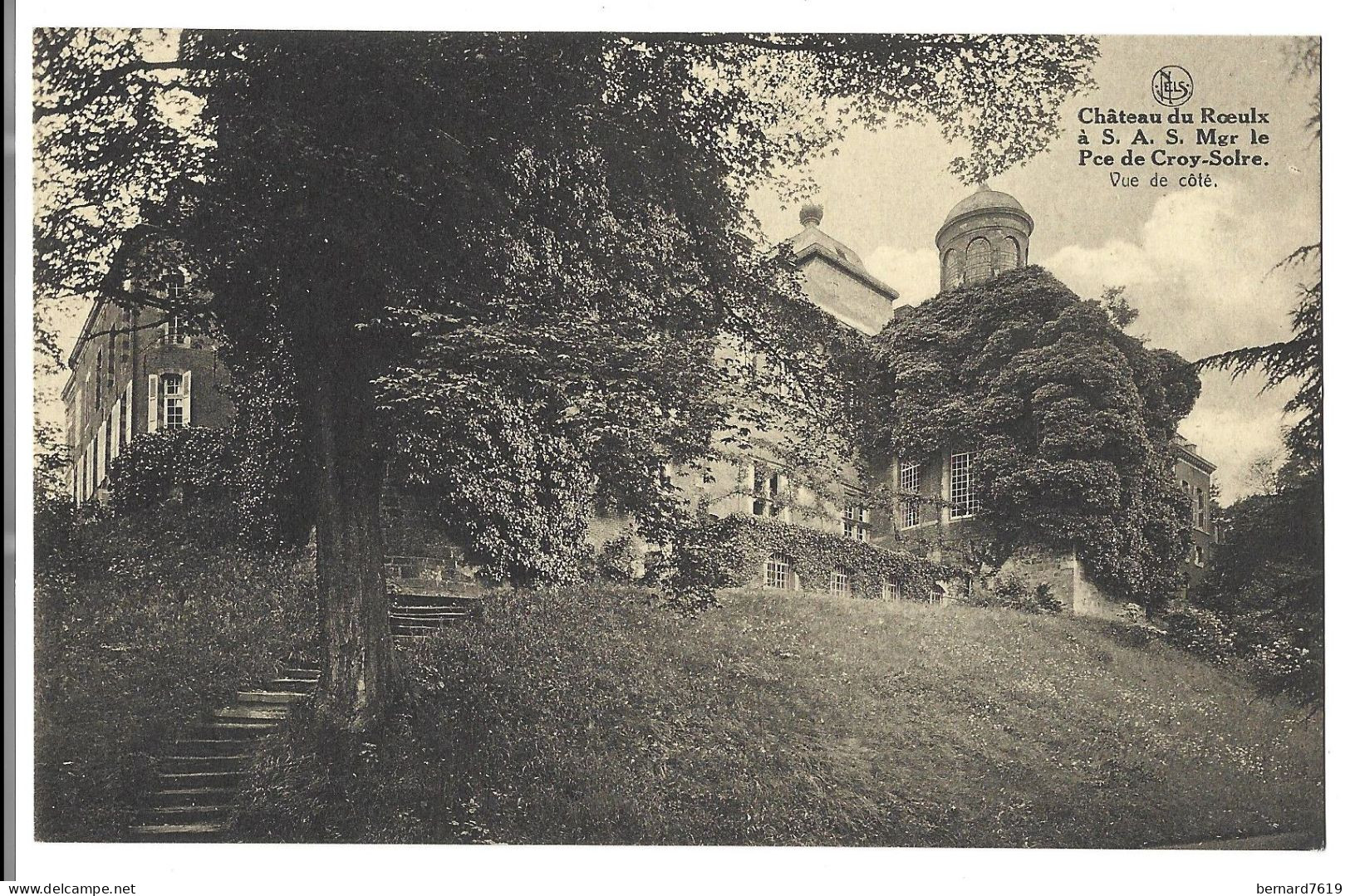 Belgique  -   Le  Roeulx  -   Chateau  De Roeulx  Mgr  Le Prince  De Croy - Vue De Cote - Le Roeulx