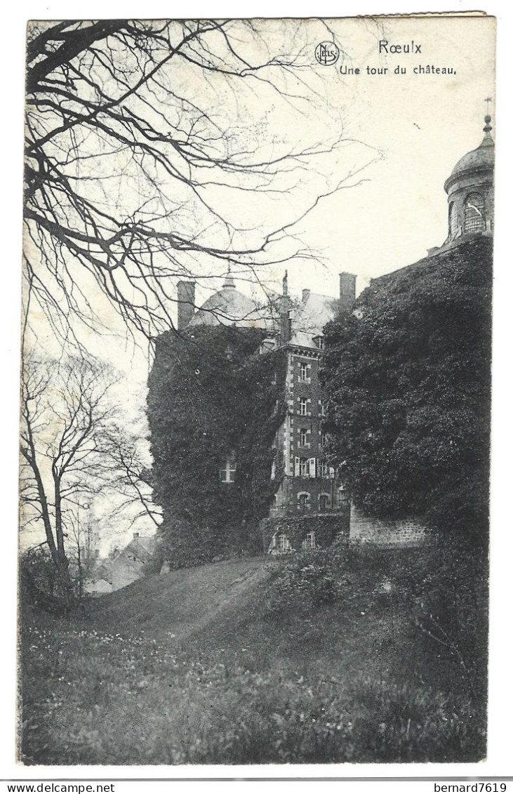 Belgique  -   Le  Roeulx  -   Une Tour Du  Chateau - Le Roeulx