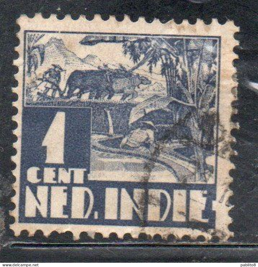 DUTCH INDIA INDIE INDE NEDERLANDS HOLLAND OLANDESE OLANDESI INDIES 1933 1937 RICE FIELD SCENE 1c USED USATO OBLITERE' - Nederlands-Indië