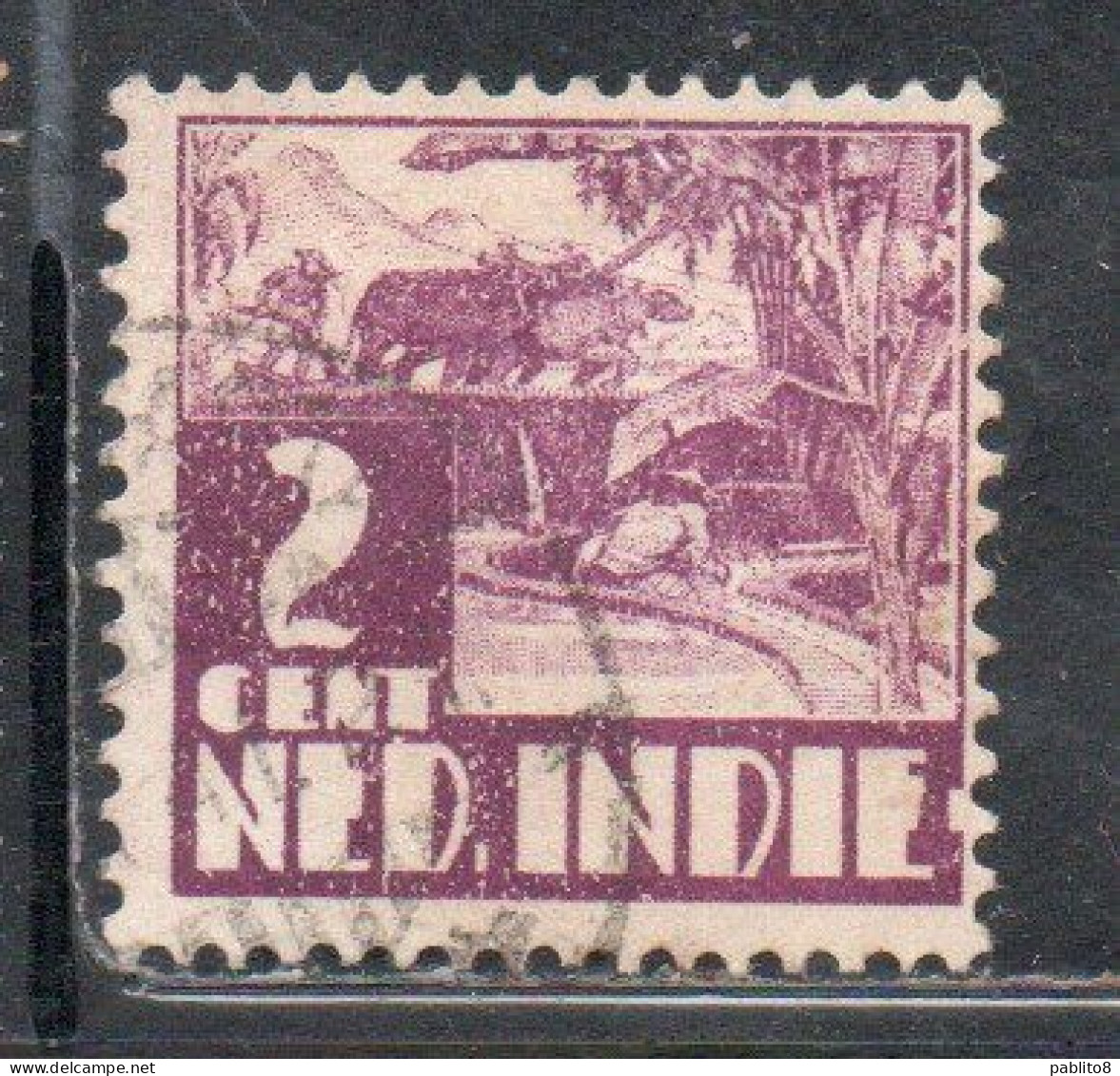 DUTCH INDIA INDIE INDE NEDERLANDS HOLLAND OLANDESE OLANDESI INDIES 1933 1937 RICE FIELD SCENE 2c USED USATO OBLITERE' - Nederlands-Indië