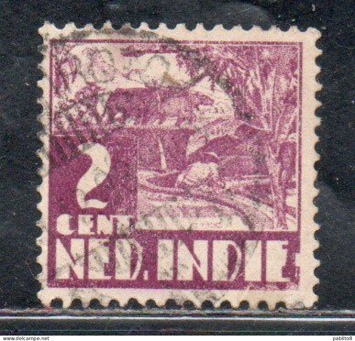 DUTCH INDIA INDIE INDE NEDERLANDS HOLLAND OLANDESE OLANDESI INDIES 1933 1937 RICE FIELD SCENE 2c USED USATO OBLITERE' - Nederlands-Indië