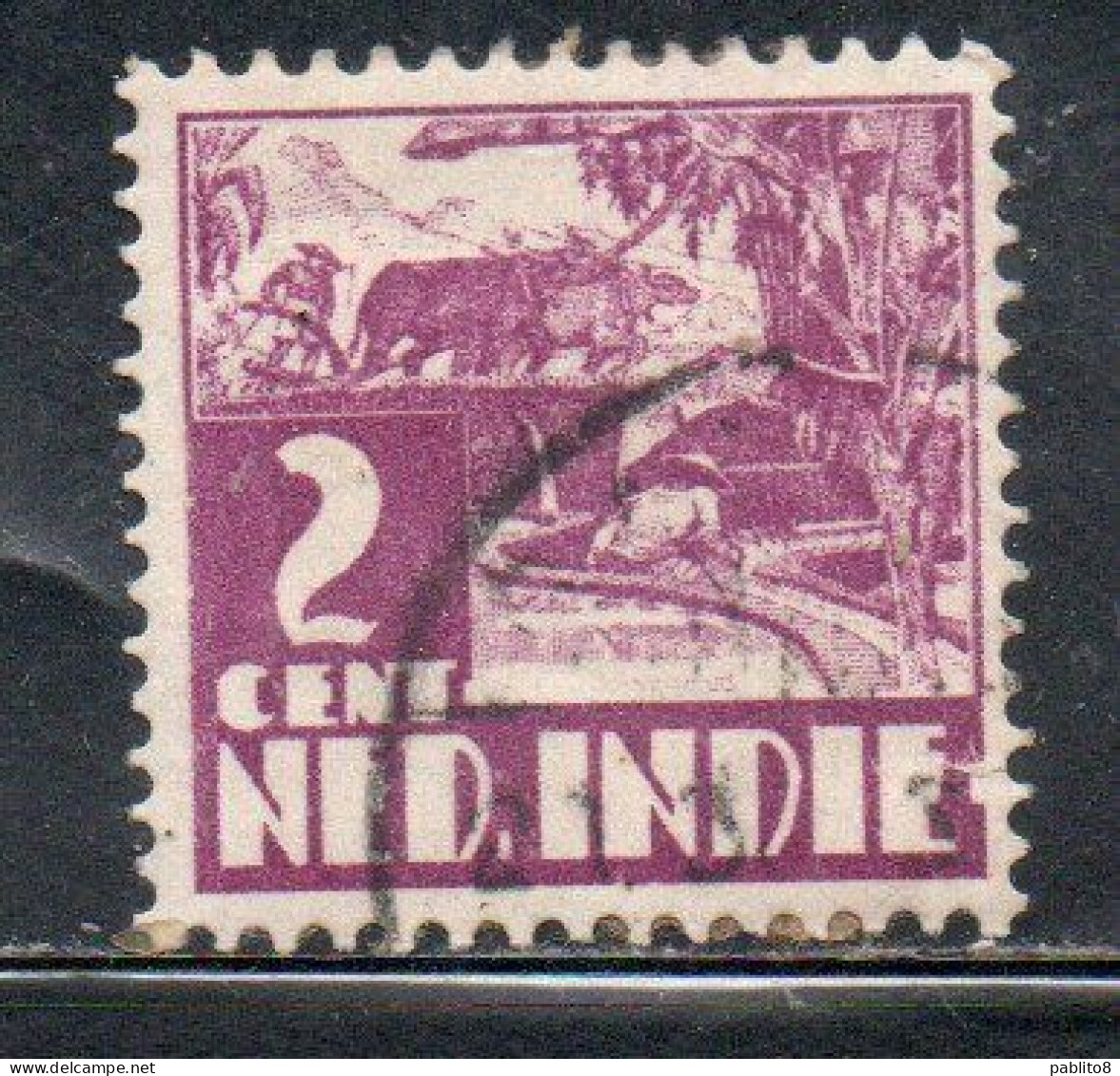 DUTCH INDIA INDIE INDE NEDERLANDS HOLLAND OLANDESE OLANDESI INDIES 1933 1937 RICE FIELD SCENE 2c USED USATO OBLITERE' - Nederlands-Indië