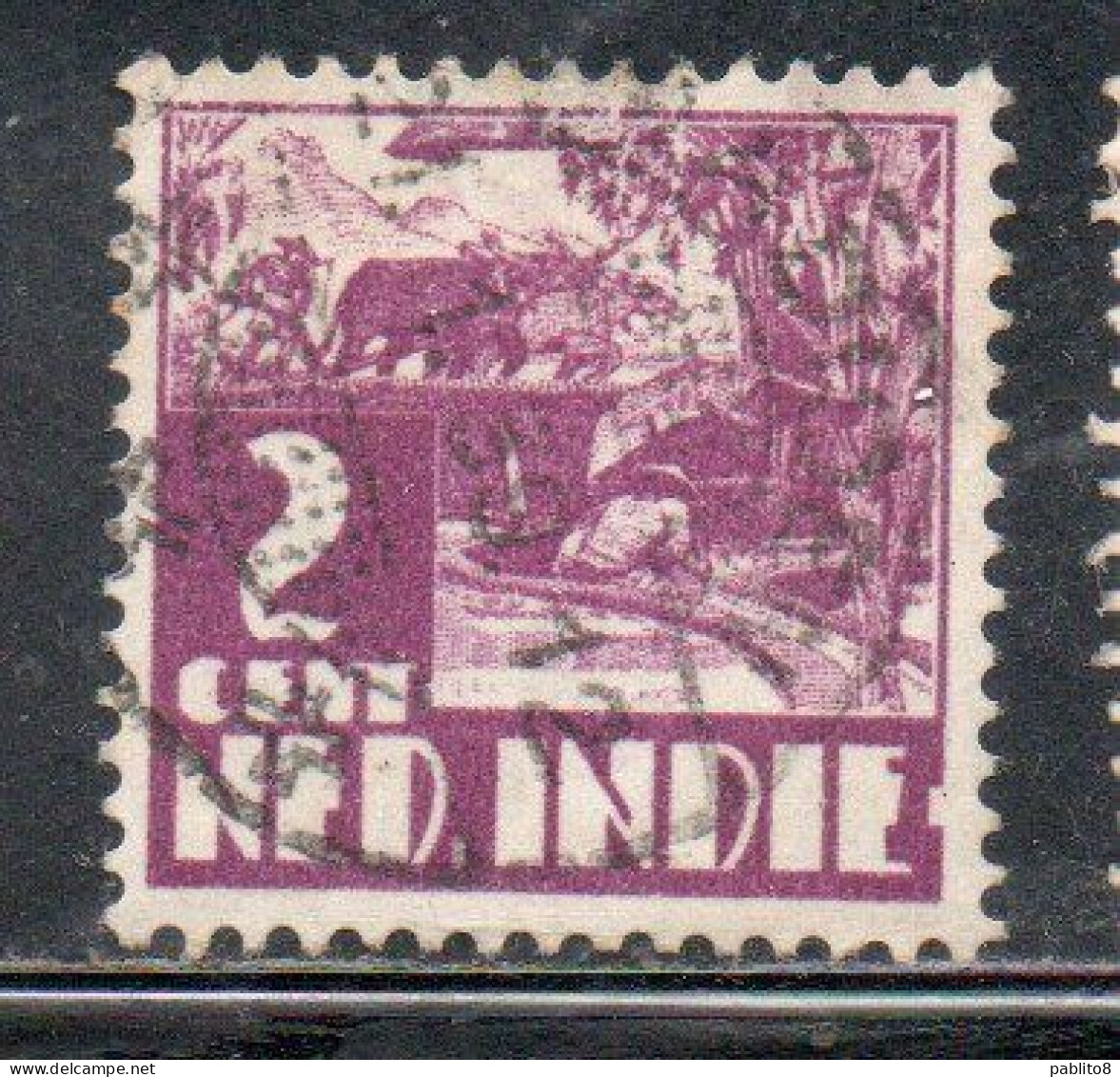 DUTCH INDIA INDIE INDE NEDERLANDS HOLLAND OLANDESE OLANDESI INDIES 1933 1937 RICE FIELD SCENE 2c USED USATO OBLITERE' - Nederlands-Indië