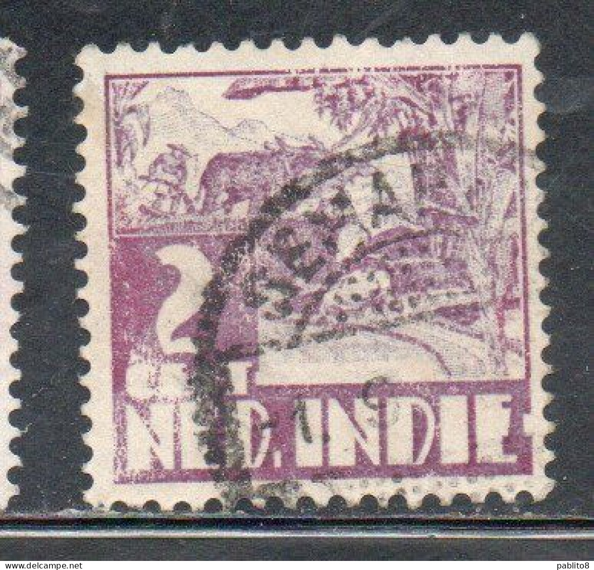 DUTCH INDIA INDIE INDE NEDERLANDS HOLLAND OLANDESE OLANDESI INDIES 1933 1937 RICE FIELD SCENE 2c USED USATO OBLITERE' - Nederlands-Indië