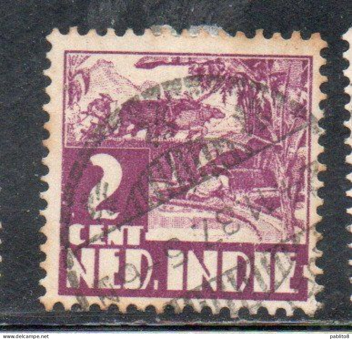 DUTCH INDIA INDIE INDE NEDERLANDS HOLLAND OLANDESE OLANDESI INDIES 1933 1937 RICE FIELD SCENE 2c USED USATO OBLITERE' - Nederlands-Indië