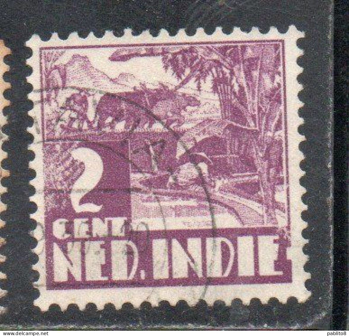 DUTCH INDIA INDIE INDE NEDERLANDS HOLLAND OLANDESE OLANDESI INDIES 1933 1937 RICE FIELD SCENE 2c USED USATO OBLITERE' - Nederlands-Indië