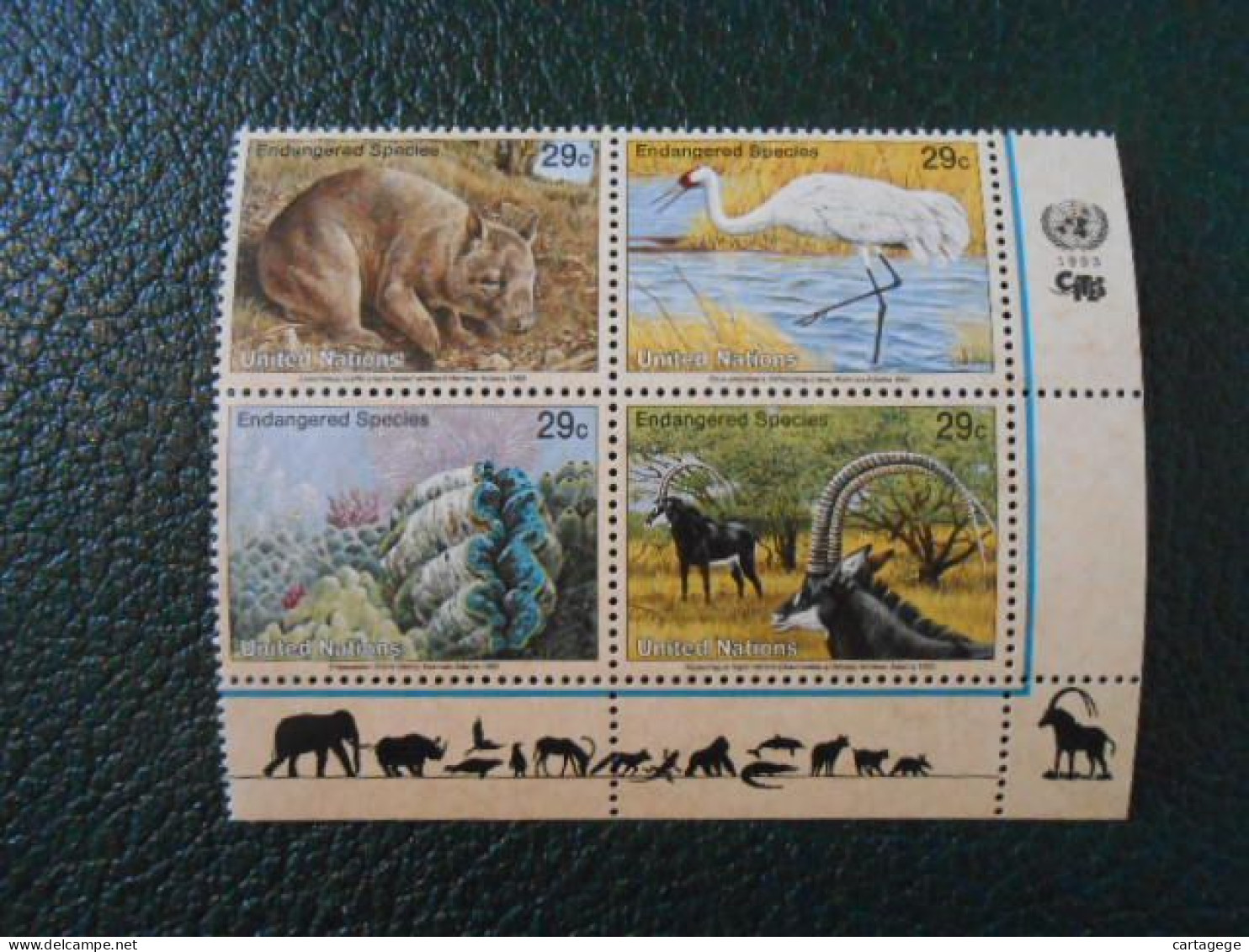 NATIONS-UNIES NEW-YORK YT 628/631 PROTECTION DE LA NATURE** - Unused Stamps