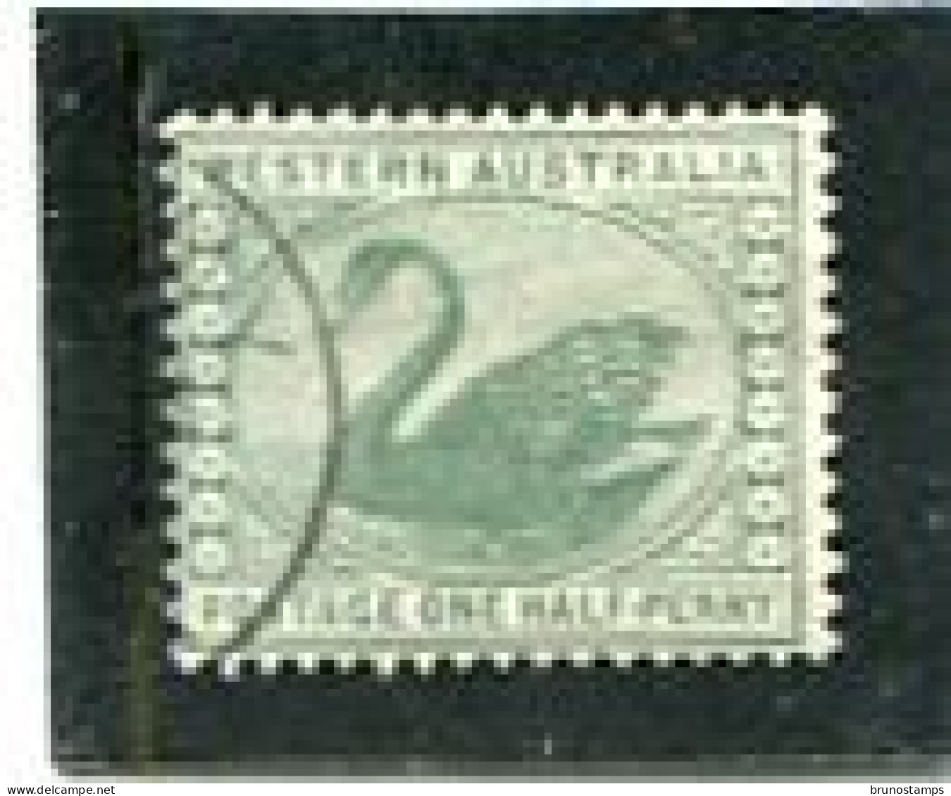 8AUSTRALIA/WESTERN AUSTRALIA - 1910  1/2d  GREEN  PERF  12x12 1/2  FINE  USED   SG 138 - Used Stamps