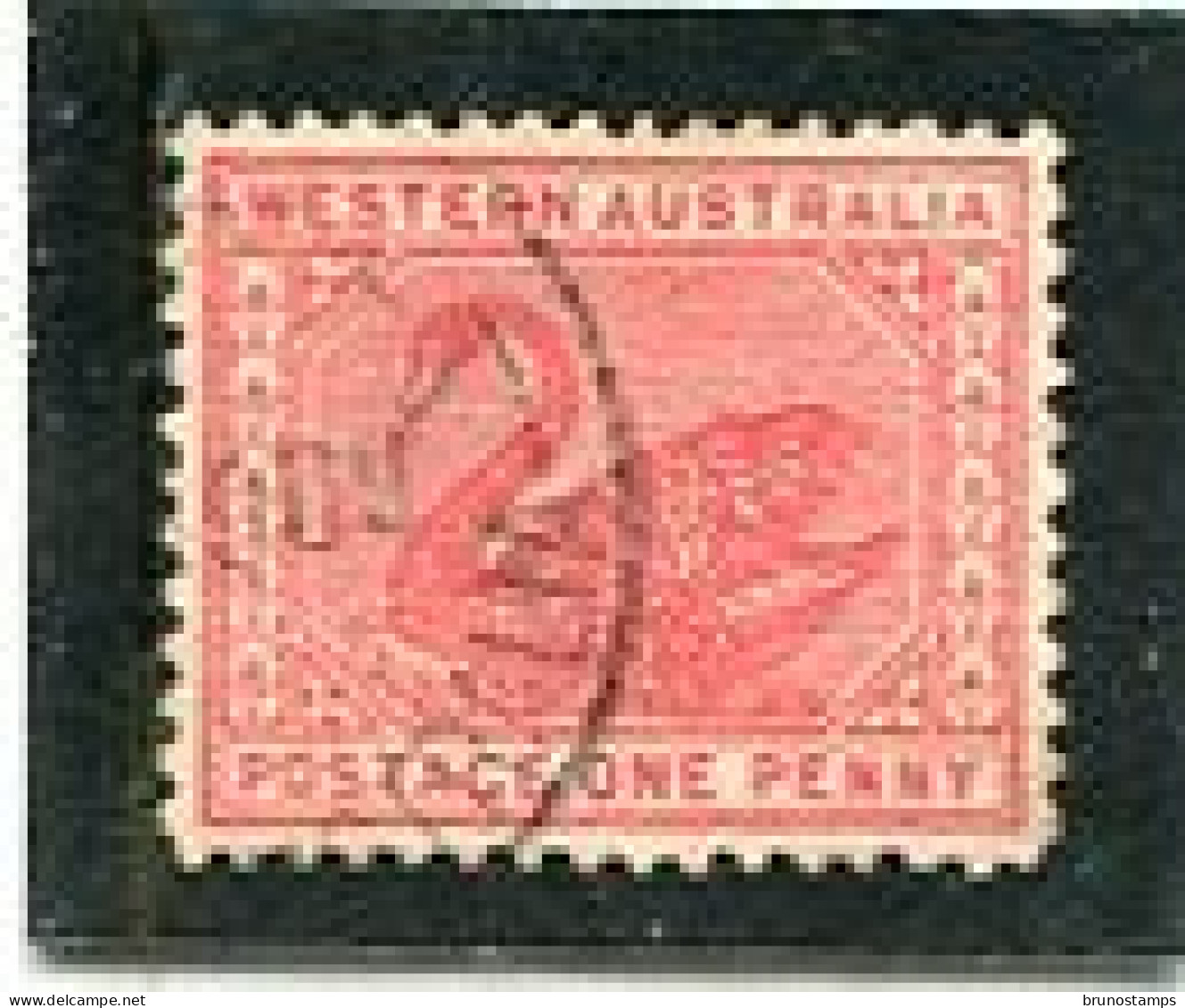 8AUSTRALIA/WESTERN AUSTRALIA - 1905  1d   ROSE-PINK  PERF  12x12 1/2  FINE  USED   SG 139 - Usados