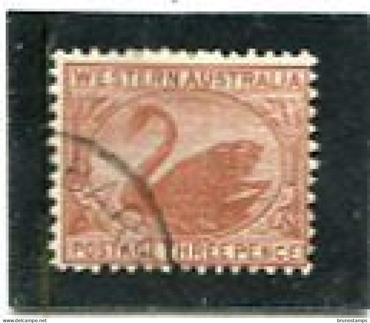8AUSTRALIA/WESTERN AUSTRALIA - 1906  3d   BROWN  PERF  12x12 1/2  FINE  USED   SG 141 - Gebruikt