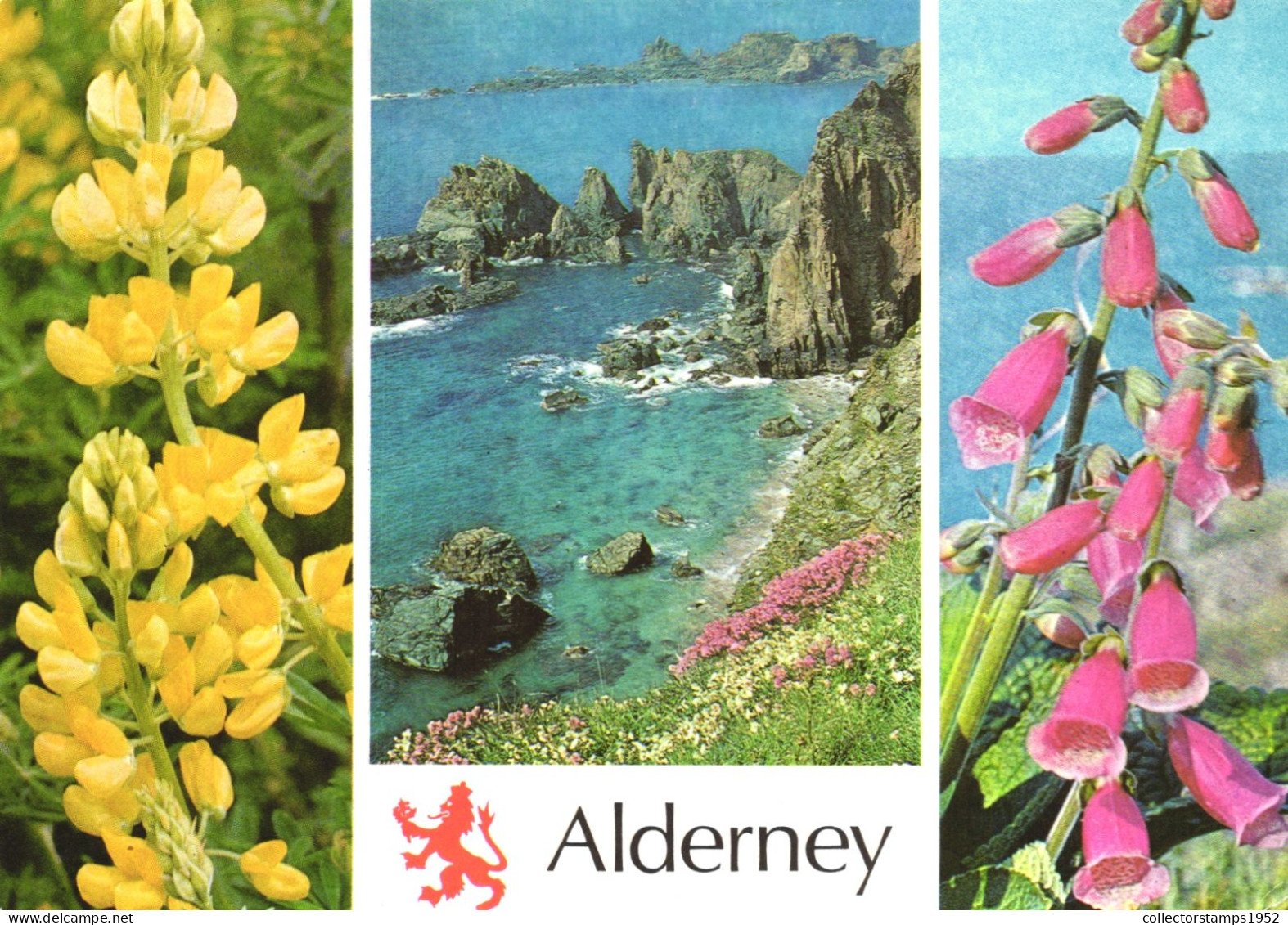 ALDERNEY, MULTIPLE VIEWS, ROCKS, COAST, EMBLEM, WILD FLOWERS, UNITED KINGDOM - Alderney