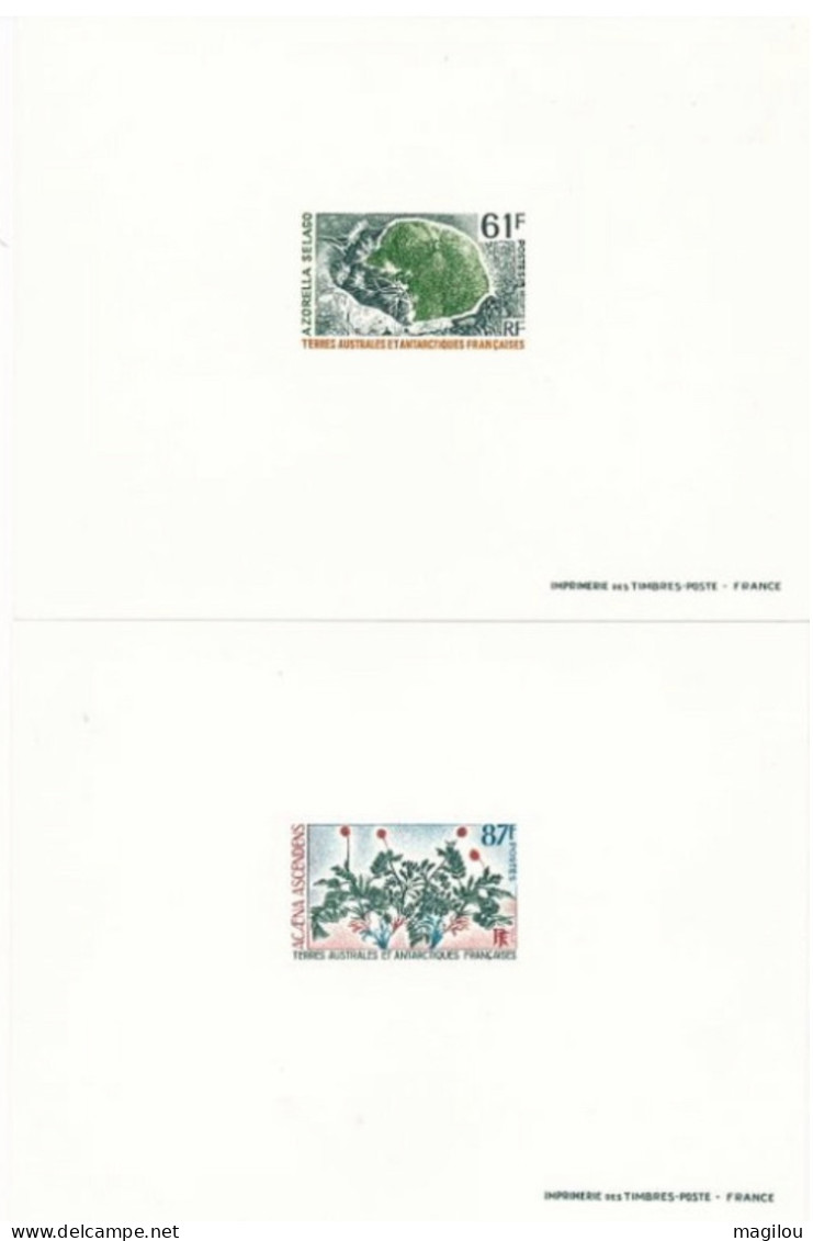 2 Epreuve De Luxe Taaf/fsat Flore YVT 52/53 - Imperforates, Proofs & Errors