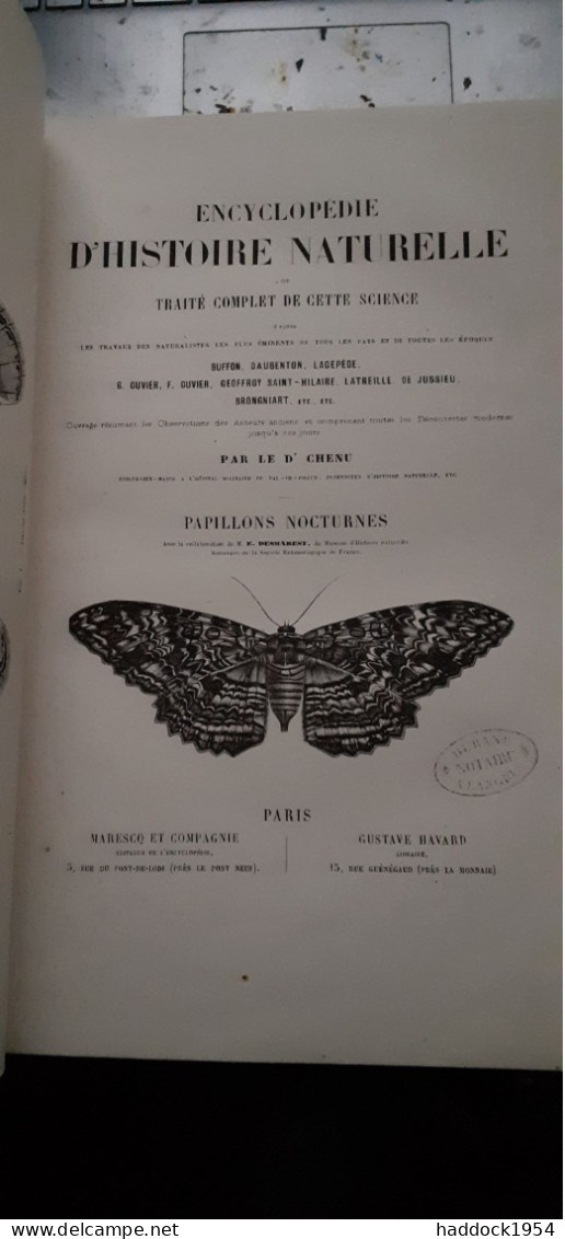 Papillons Encyclopèdie D'histoire Naturelle DR CHENU H.LUCAS 1857 - Encyclopedieën