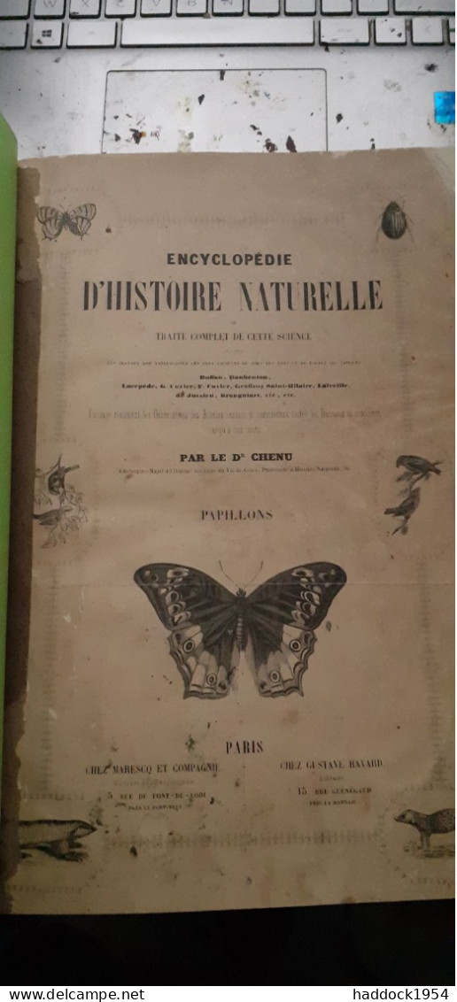 Papillons Nocturnes Encyclopèdie D'histoire Naturelle DR CHENU H.LUCAS 1857 - Encyclopedieën