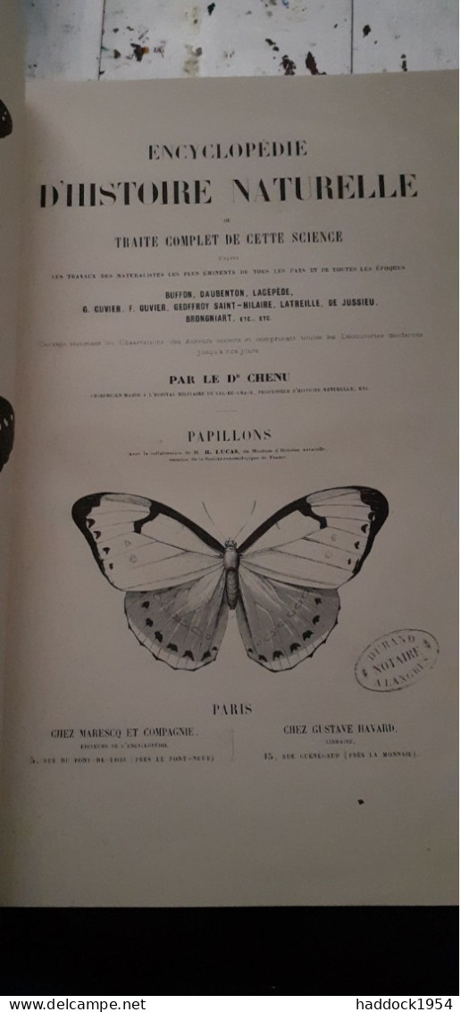 Papillons Nocturnes Encyclopèdie D'histoire Naturelle DR CHENU H.LUCAS 1857 - Enzyklopädien