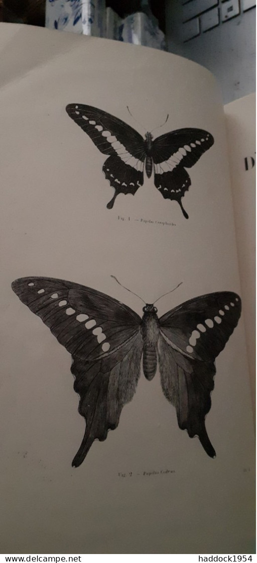 Papillons Nocturnes Encyclopèdie D'histoire Naturelle DR CHENU H.LUCAS 1857 - Encyclopédies