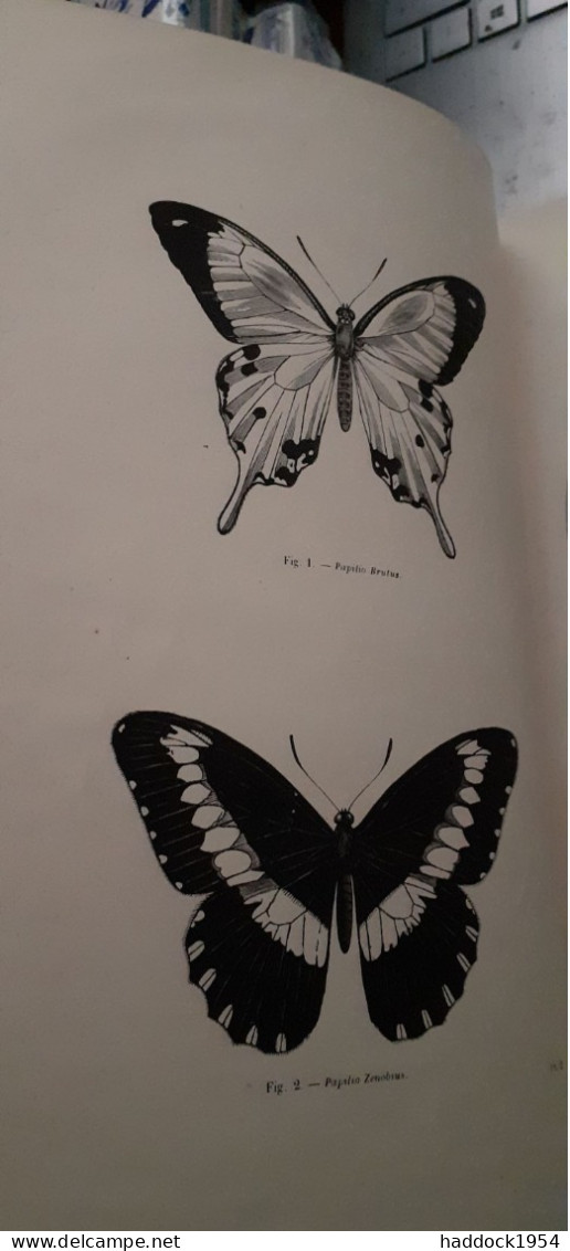 Papillons Nocturnes Encyclopèdie D'histoire Naturelle DR CHENU H.LUCAS 1857 - Enciclopedie