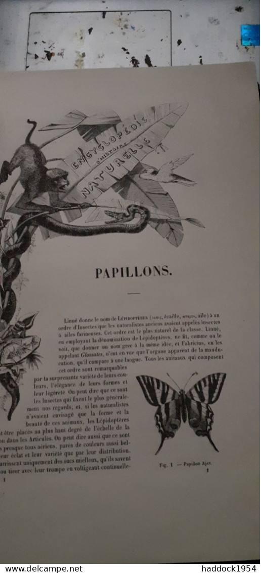 papillons nocturnes encyclopèdie d'histoire naturelle DR CHENU H.LUCAS 1857