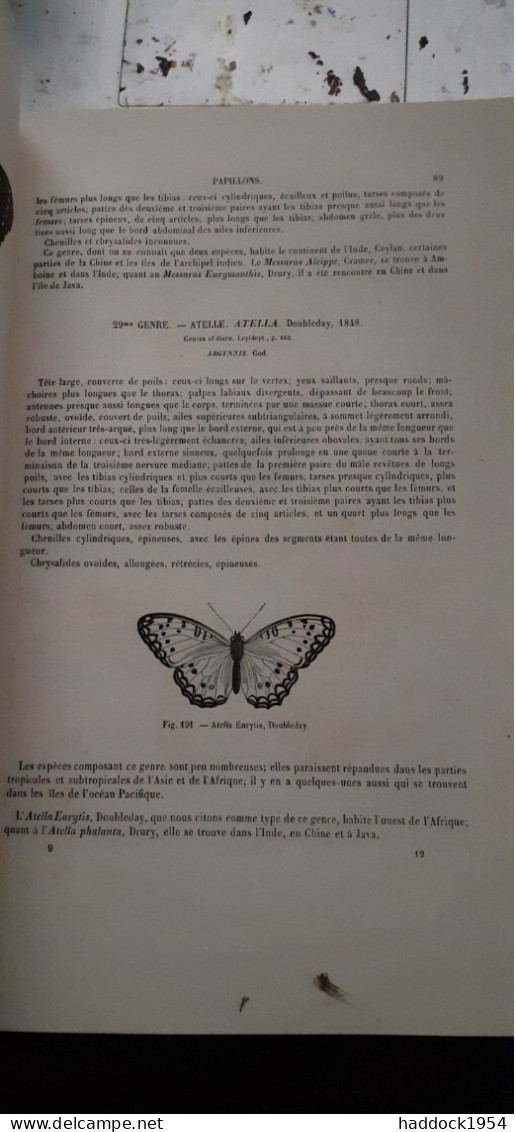 papillons nocturnes encyclopèdie d'histoire naturelle DR CHENU H.LUCAS 1857