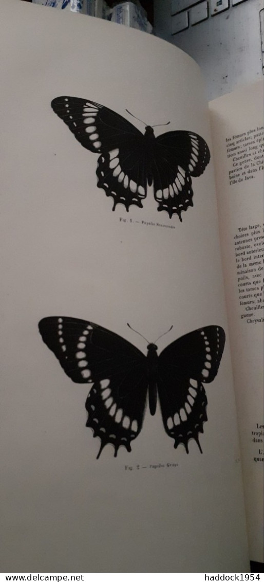 papillons nocturnes encyclopèdie d'histoire naturelle DR CHENU H.LUCAS 1857