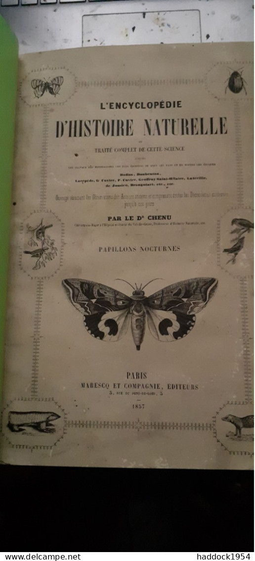 Papillons Et Papillons Nocturnes Encyclopèdie D'histoire Naturelle DR CHENU H.LUCAS 1857 - Encyclopaedia