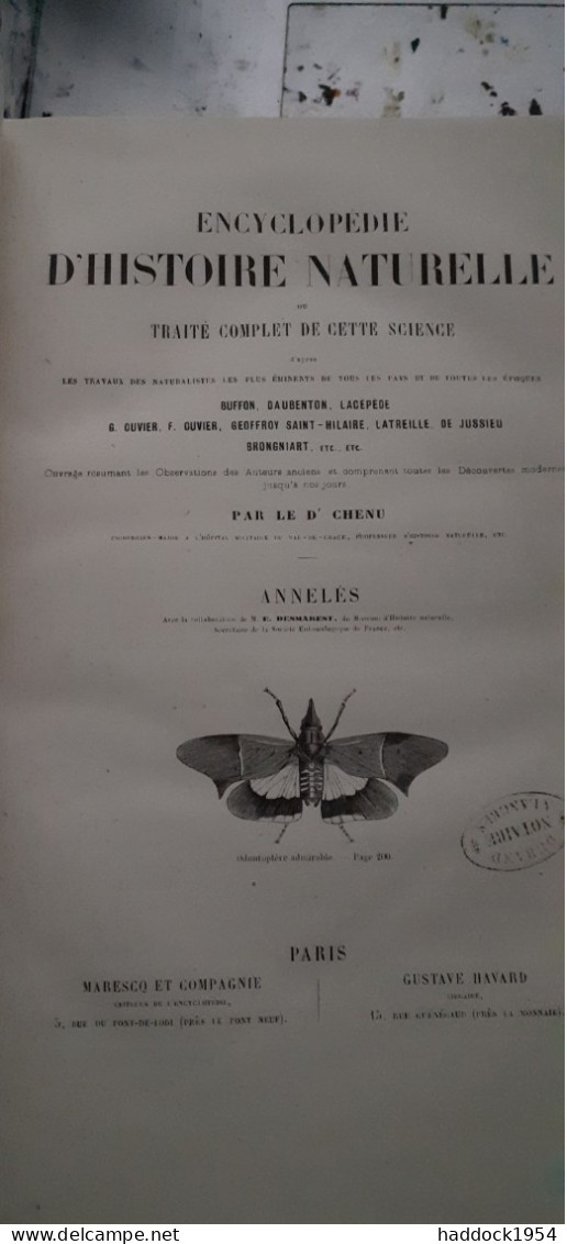 Annelés Encyclopèdie D'histoire Naturelle DR CHENU E. DESMAREST 1859 - Encyclopedieën
