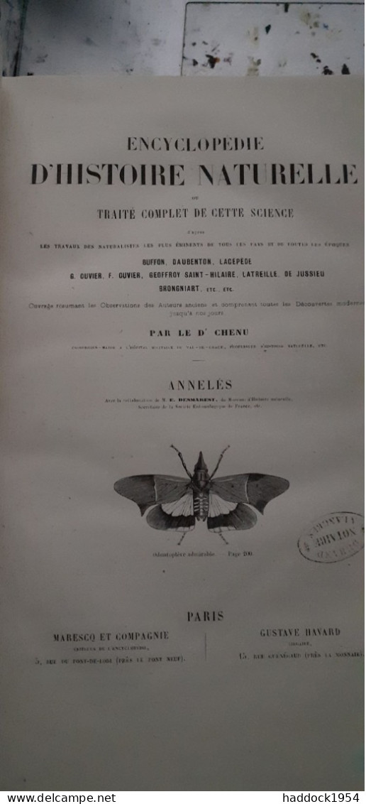 Annelés Encyclopèdie D'histoire Naturelle DR CHENU E. DESMAREST 1859 - Encyclopédies