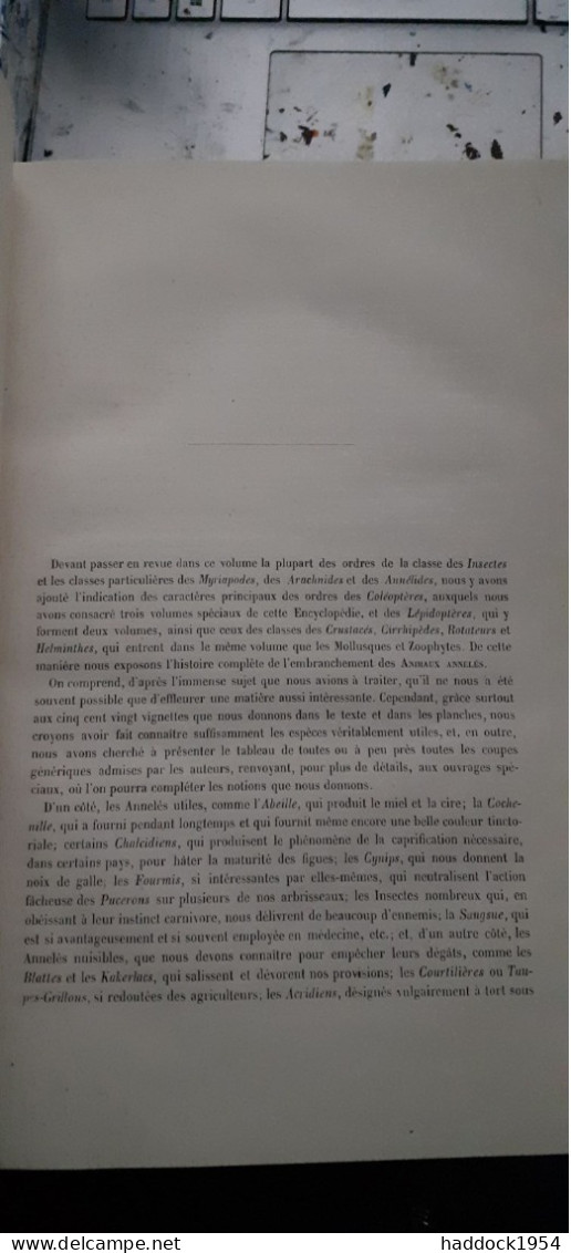 Annelés Encyclopèdie D'histoire Naturelle DR CHENU E. DESMAREST 1859 - Encyclopédies