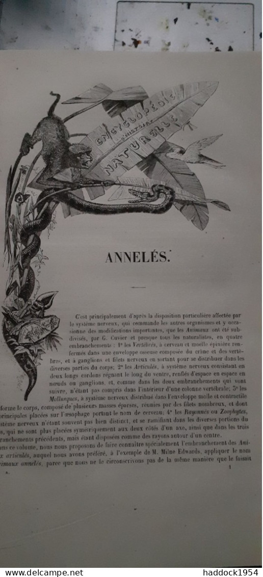 Annelés Encyclopèdie D'histoire Naturelle DR CHENU E. DESMAREST 1859 - Enciclopedie