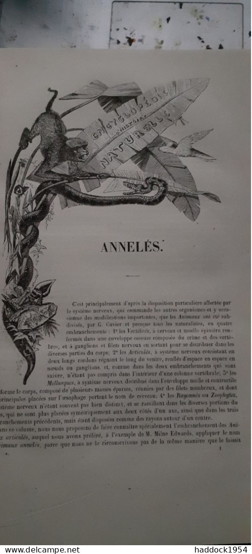 Annelés Encyclopèdie D'histoire Naturelle DR CHENU E. DESMAREST 1859 - Encyclopédies