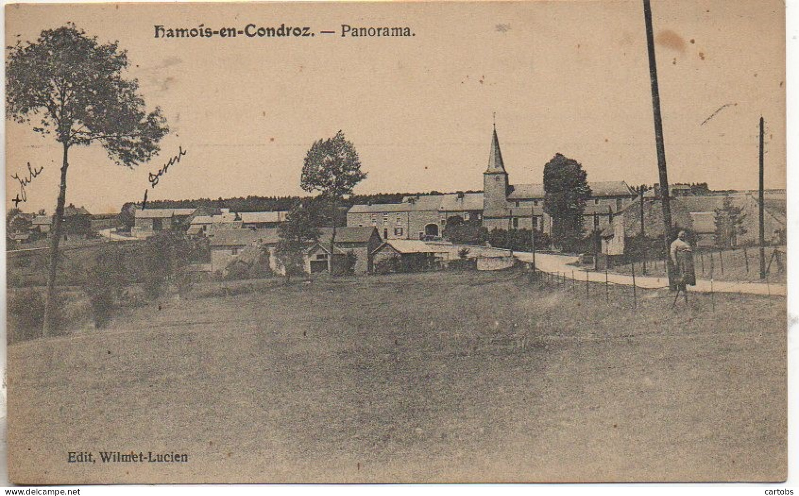 Belgique  HAMOIS-en-CONDROZ - Panorama (carte Pas Courante) - Hamois