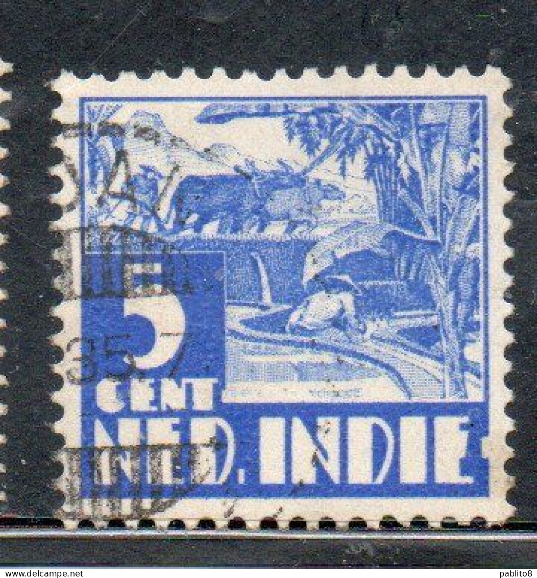 DUTCH INDIA INDIE INDE NEDERLANDS HOLLAND OLANDESE OLANDESI INDIES 1933 1937 1934 RICE FIELD SCENE 5c USED USATO - Nederlands-Indië